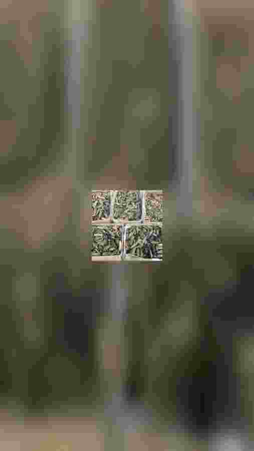 mobile.jpeg
